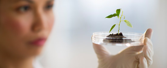 Gentechnik Verzicht Nestlé Deutschland Gentechnik Verzicht Nestlé Deutschland
