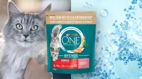 Purina_One_Overlap_Banner1