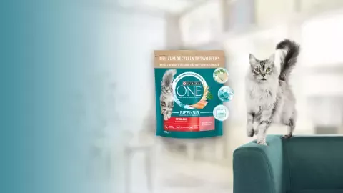 Purina_One_Overlap_Banner1