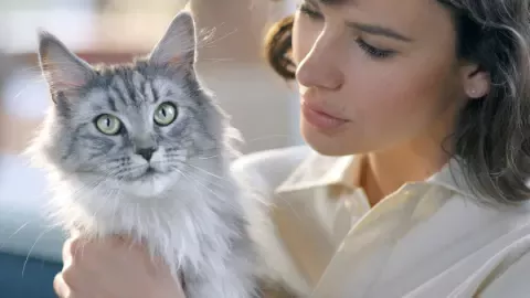 Purina_One_Overlap_Banner1